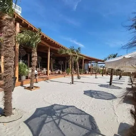 Apartment C&c Mamaia-nord *