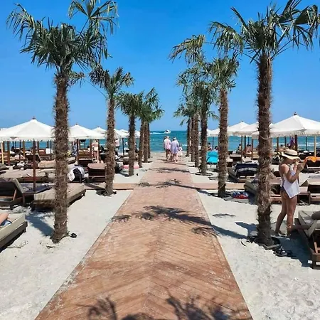 C&c Mamaia-nord 아파트 *